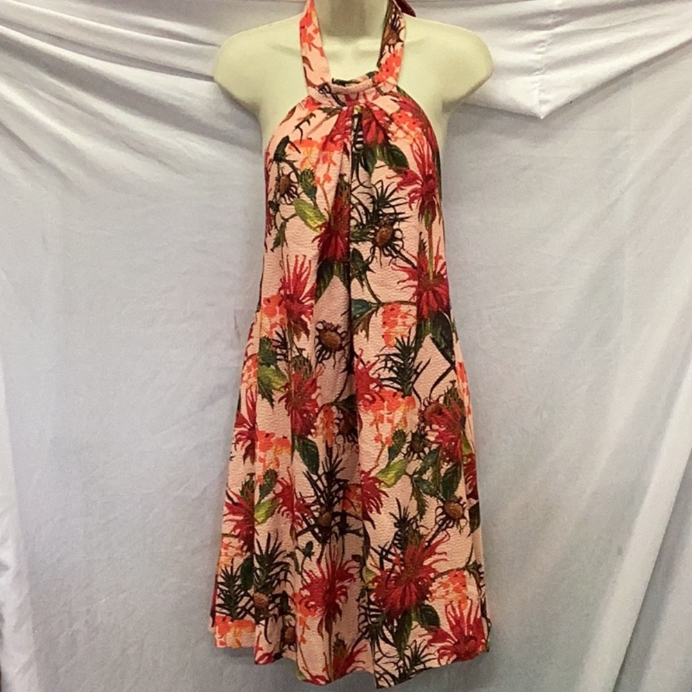 Cynthia Steffe Backless Dress